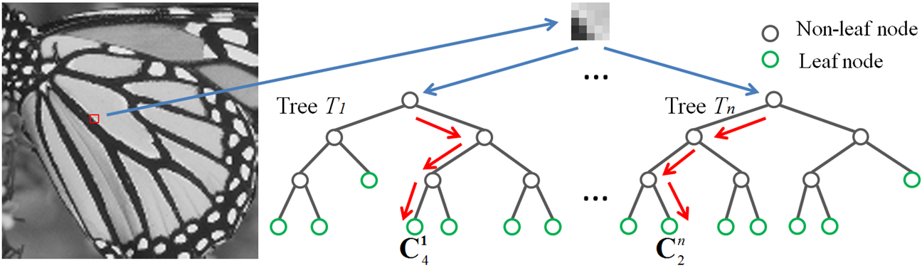 TIP 2015